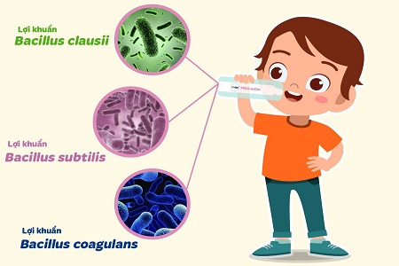 lợi khuẩn cho trẻ