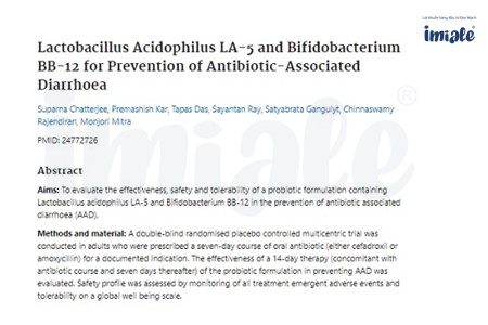 vai trò của Bifidobacterium với hệ đường ruột