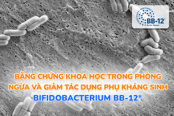 Loi-khuan-bifidobacterium-bb-12-nghien-cuu-lam-sang-chung-minh-hieu-qua-phong-ngua-va-giam-tac-dung-phu-cua-khang-sinh