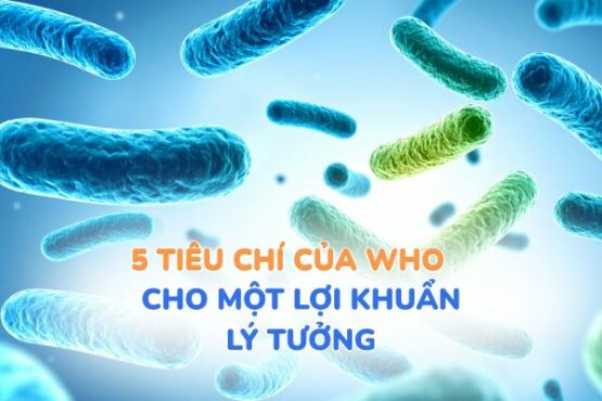 5 tiêu chí của tổ chức y tế thế giới về lợi khuẩn lý tưởng