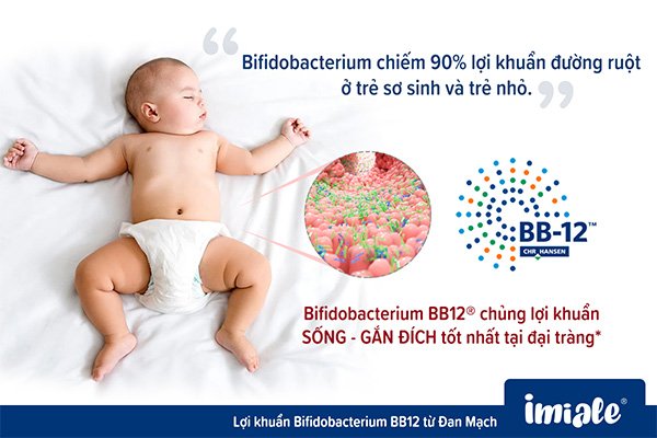 1.1. Bifidobacterium chiếm 90% lợi khuẩn đường ruột ở trẻ sơ sinh và trẻ nhỏ 1
