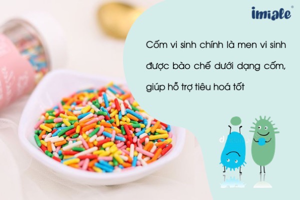Cốm vi sinh là gì?