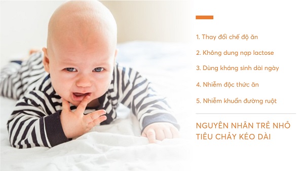nguyên nhân tiêu chảy kéo dài