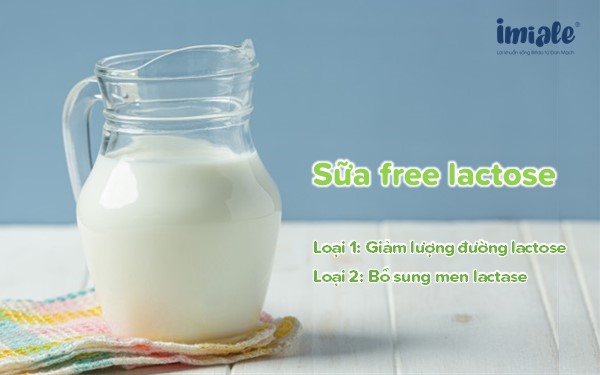 sữa free lactose