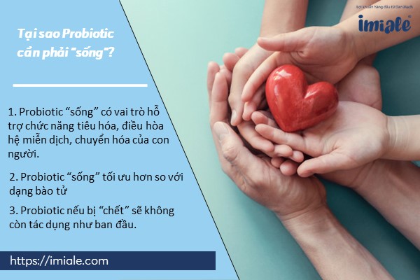 tai-sao-probiotic-can-phai-song