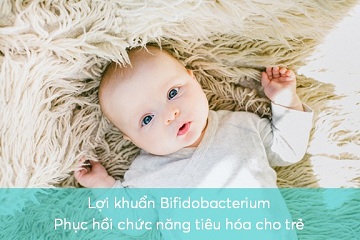 loi-khuan-bifidobacterium-phuc-hoi-chuc-nang-tieu-hoa-cho-tre