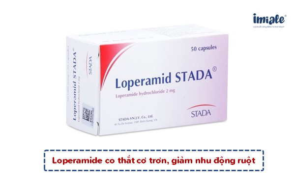 Loperamide giảm nhu động ruột, giảm co thắt cơ trơn, giảm tiêu chảy