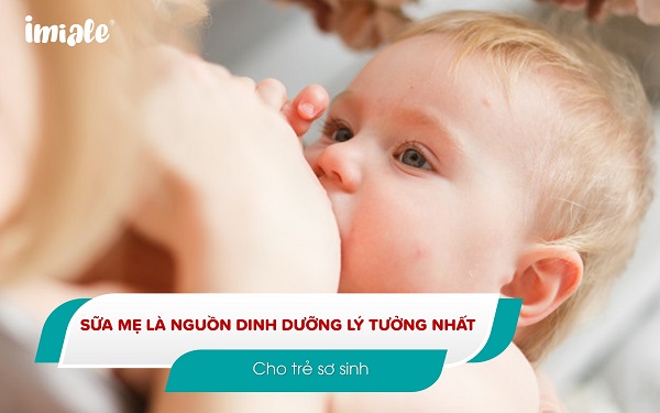 2.1 Sữa mẹ 1