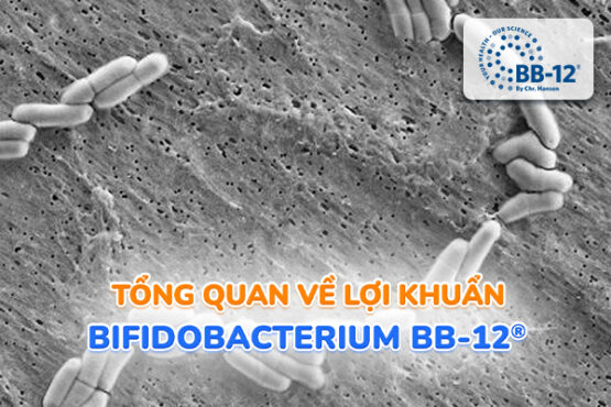 Tong-quan-loi-khuan-Bifidobacterium-BB12