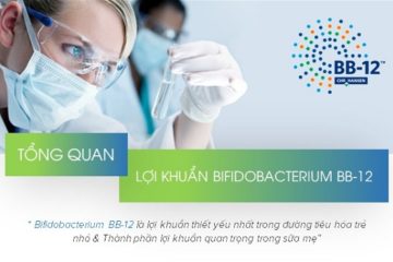 Tong-quan-loi-khuan-Bifidobacterium BB12