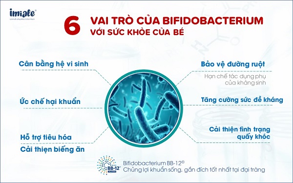 Bifidobacterium với sức khỏe bé