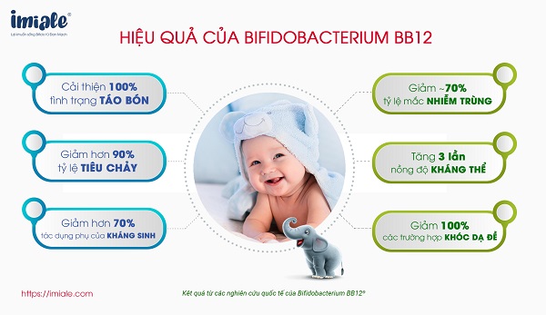 Nghien cuu Bifidobacterium bb12