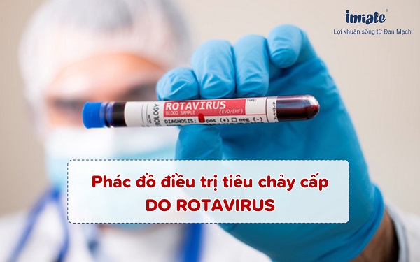 Phác đồ điều trị tiêu chảy cấp do rotavirus