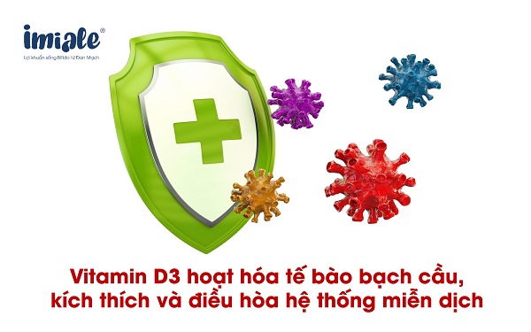 vitamin D3 có vai trò trong miễn dịch