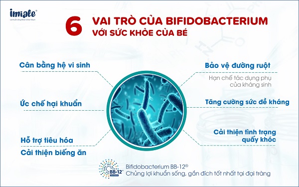 6 lợi ích của bifidobacterium