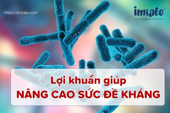 4 cơ chế của lợi khuẩn giúp nâng cao sức đề kháng ở trẻ nhỏ 4 cơ chế của lợi khuẩn giúp nâng cao sức đề kháng ở trẻ nhỏ