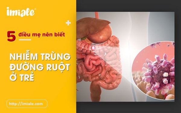 nhiễm trùng đường ruột hay nhiễm khuẩn đường ruột ở trẻ