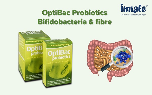 2. OptiBac Probiotics Bifidobacteria & fibre (Optibac xanh lá) 1