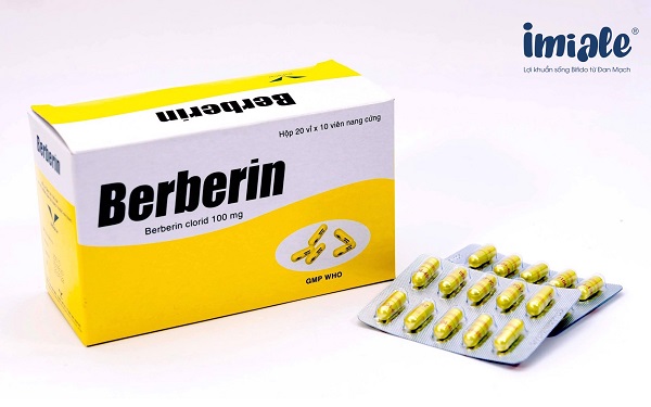 thuốc berberin