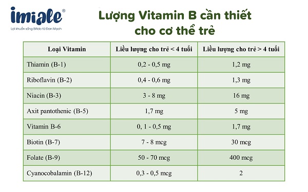 lượng vitamin B cần thiết cho cơ thể trẻ