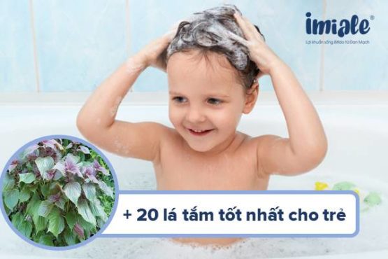 20+ lá tắm tốt nhất cho trẻ sơ sinh và cách sử dụng đúng 20+ lá tắm tốt nhất cho trẻ sơ sinh và cách sử dụng đúng