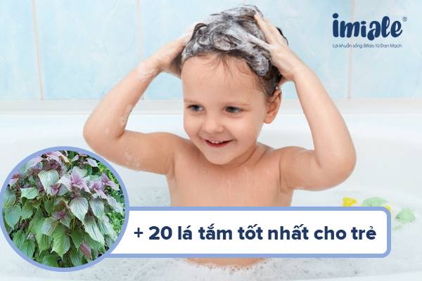[Cập nhật 2022] 20+ Lá tắm cho trẻ sơ sinh: An toàn, phù hợp cho da trẻ 1