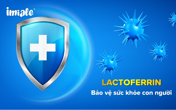 Lactoferrin là gì? Tổng quan 10 điều cần biết 1