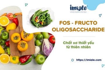 FOS (fructo oligosaccharide) 1