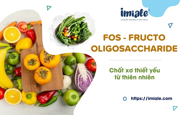 FOS (Fructo oligosaccharide): Chất xơ thiết yếu có nguồn gốc tự nhiên 1