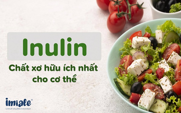Inulin - Chất xơ hòa tan hữu ích nhất cho cơ thể 1