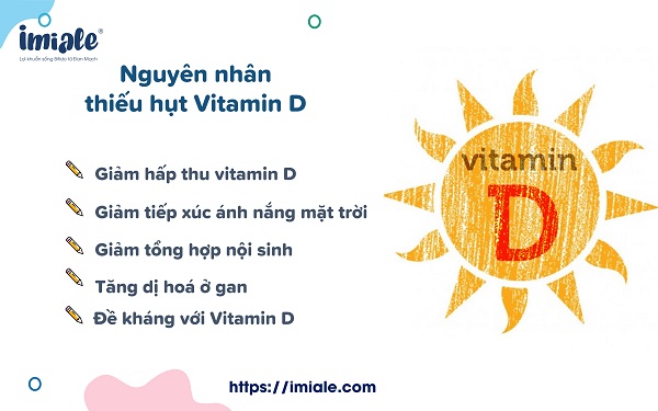 Nguyên nhân gây thiếu vitamin D