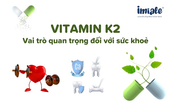 Vitamin K2 và vai trò