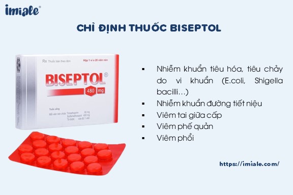 chỉ định thuốc biseptol