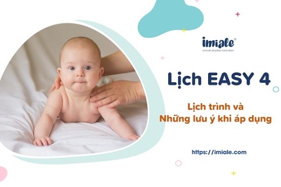 Lịch easy 4 và những lưu ý khi áp dụng Lịch easy 4 và những lưu ý khi áp dụng