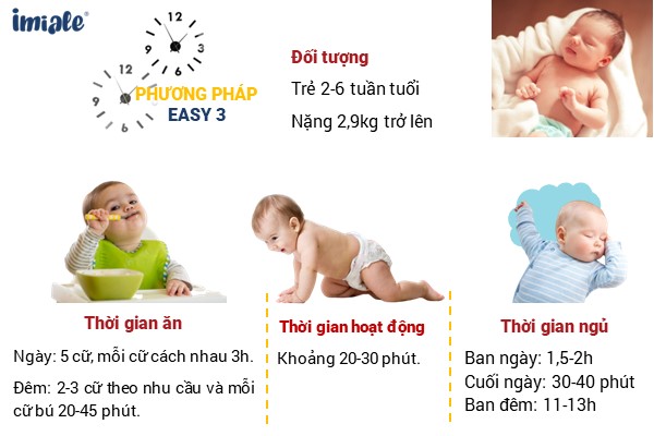 Cách Áp Dụng Phương Pháp EASY Hiệu Quả