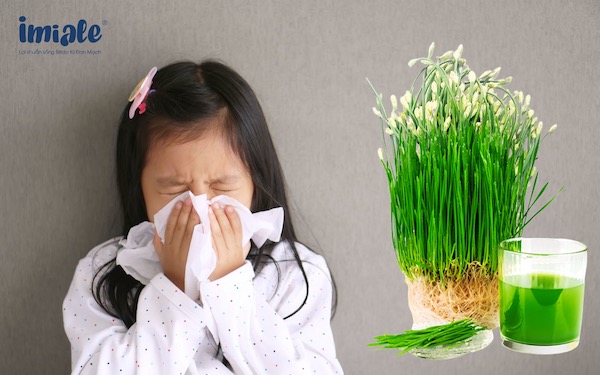 Cách trị ho cho bé