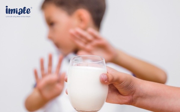 Enzyme lactase được coi là một trong những enzyme quan trọng nhất cho quá trình tiêu hóa. Nó giúp cơ thể phân hủy lactose, một loại đường lớn có trong sữa và sản phẩm từ sữa. Nếu bạn có vấn đề về tiêu hóa sữa hoặc không muốn bỏ qua những món ăn yêu thích có chứa sữa, thì hãy tìm hiểu thêm về enzyme lactase.