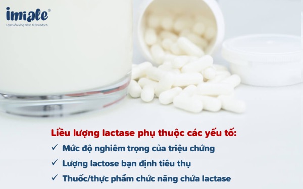 enzyme lactase - liều lượng