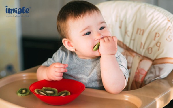 Thực đơn dinh dưỡng cho bé 1 tuổi