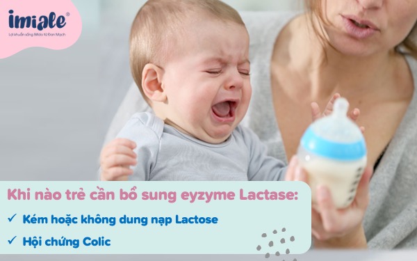 Lactase là một enzyme quan trọng trong tiêu hóa lactose. Nếu bạn dễ bị tiêu hóa kém hoặc dị ứng với sữa, đây là lựa chọn hoàn hảo để giúp giảm thiểu các triệu chứng. Tìm hiểu thêm bằng cách xem hình ảnh liên quan.