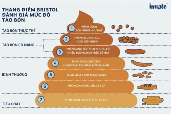 thang điểm Bristol