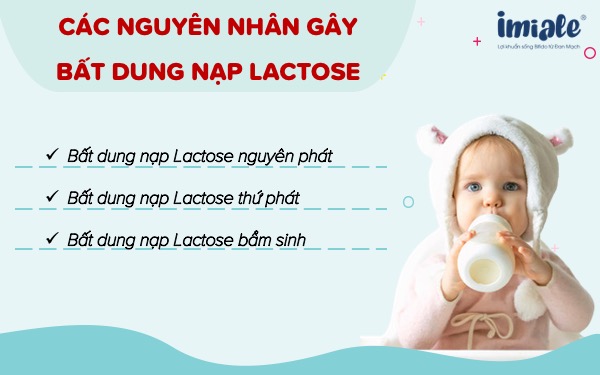 Các nguyên nhân gây ra tình trạng bất dung nạp Lactose ở trẻ sơ sinh