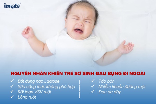 Nguyên nhân khiến trẻ sơ sinh đau bụng đi ngoài
