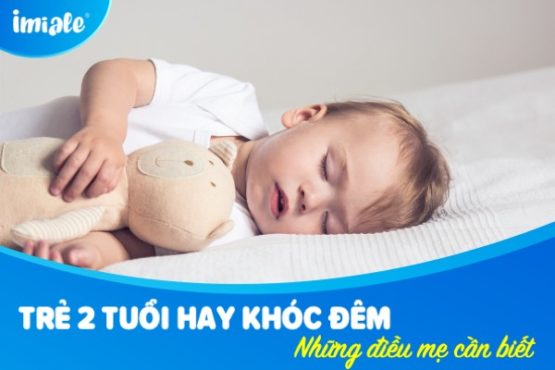 Trẻ 2 tuổi hay khóc đêm: Những điều mẹ cần biết Trẻ 2 tuổi hay khóc đêm: Những điều mẹ cần biết