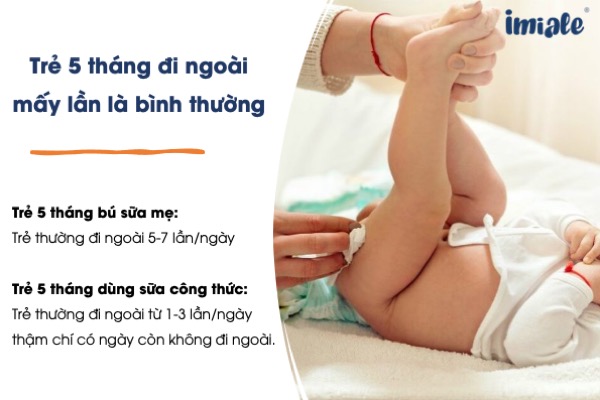 Trẻ 5 tháng tuổi 3 ngày không đi ngoài: Nguyên nhân, triệu chứng và cách xử lý hiệu quả