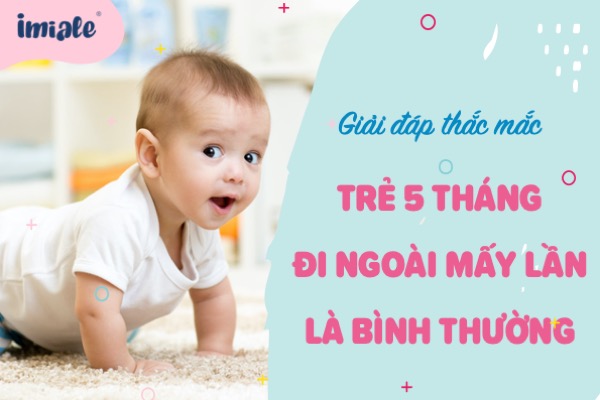 Trẻ 5 Tháng Tuổi 4 Ngày Không Đi Ngoài: Nguyên Nhân, Cách Xử Lý và Lời Khuyên Từ Chuyên Gia