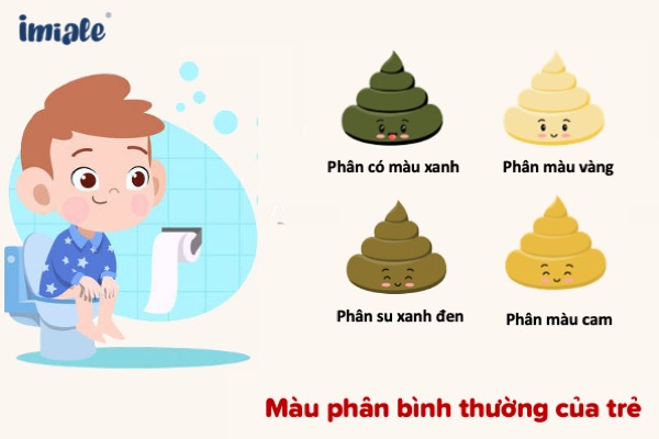 Màu phân của trẻ thế nào là bình thường?