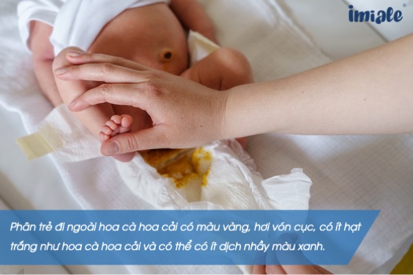 Trẻ 6 tháng đi ngoài thì phân như thế nào là bình thường?