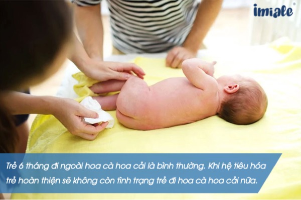 Trẻ 6 tháng đi hoa cà hoa cải có bình thường không?