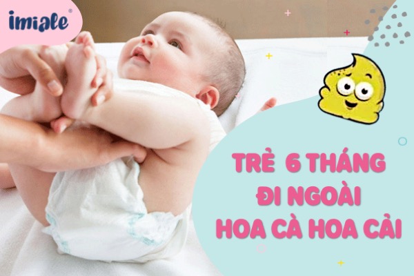 Thuốc Hoa Cà Hoa Cải có tác dụng gì?
